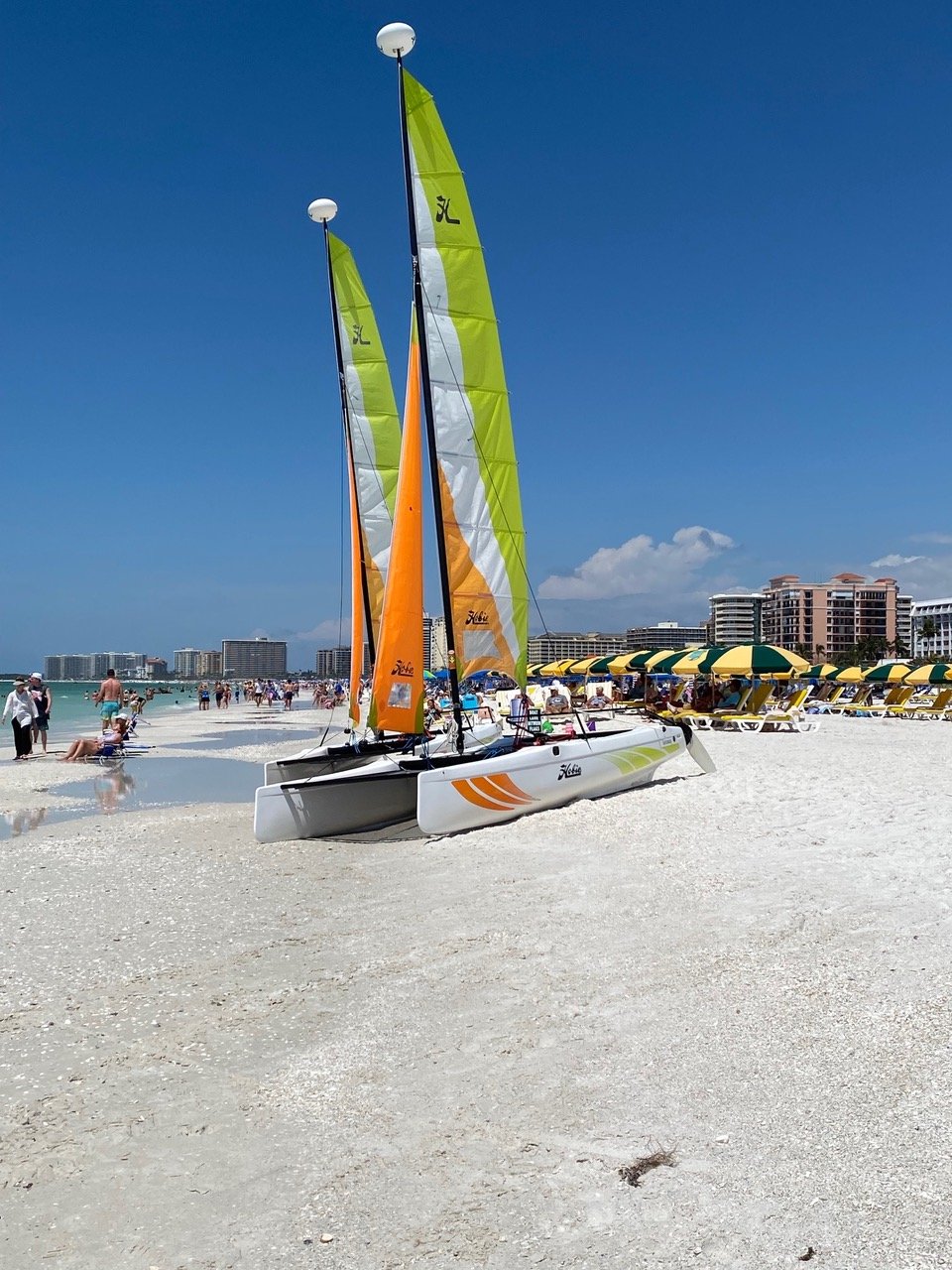 Boat website project